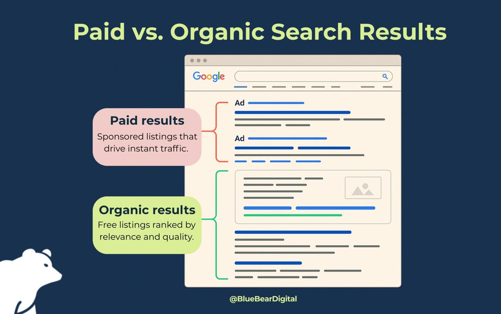 Paid Google Ads versus organic SEO search results